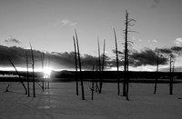 Winter sunset in Yellowstone - B&W