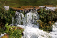 Giant Springs in Great Falls, Montana