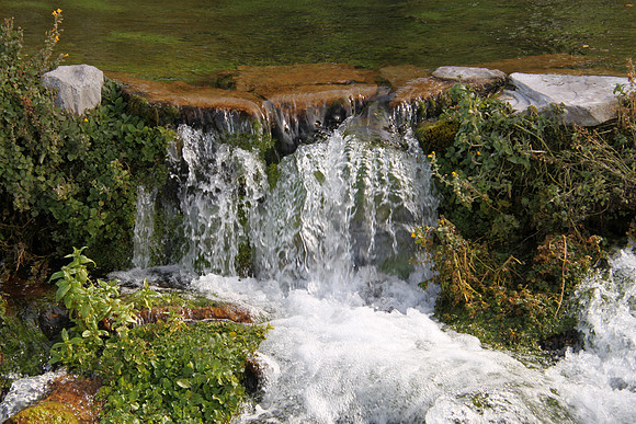 Giant Springs in Great Falls, Montana