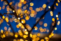 Bokeh Christmas lights