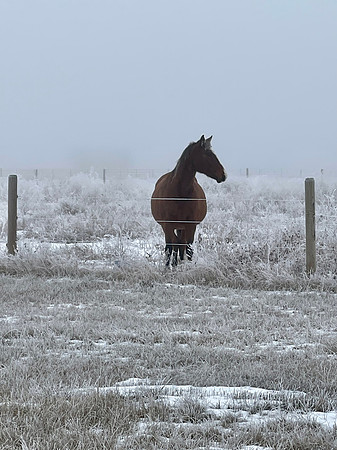 Chief in the fog