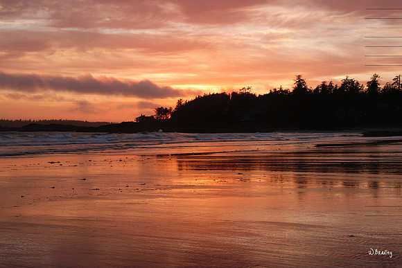Sunset Tofino BC