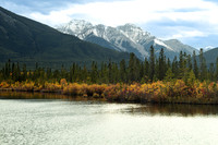 Fall Colors