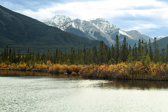Fall Colors
