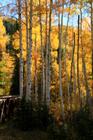 Aspen in Colorado