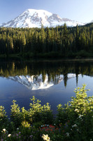 Mt Rainer reflection