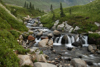 Creekside