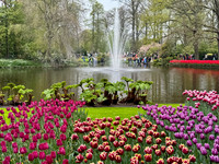 Keukenhof Garden